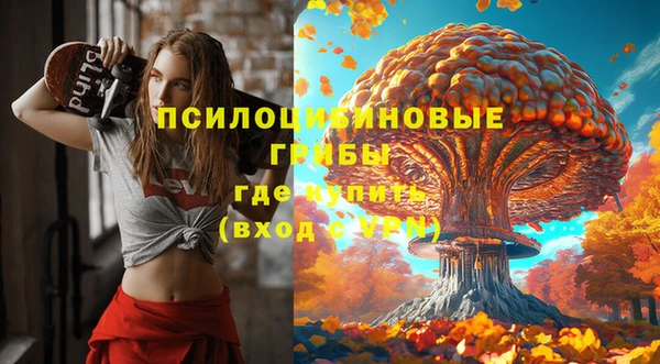 круглые Алексин