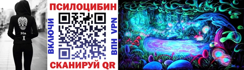 продажа наркотиков  Лаишево  Псилоцибиновые грибы прущие грибы 